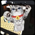Cute cat simulator 3D