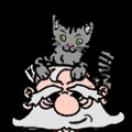 救救小猫