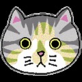 查找猫