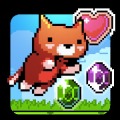 小猫逍遥游