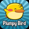 Plumpy Bird