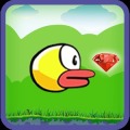 Honey Bird
