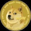 nyan doge