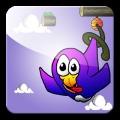 A Birds Life