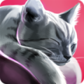 猫舍 特别版