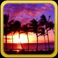 Hawaii Island Jigsaw Puzzles