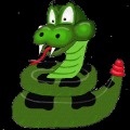 SensorSnake