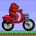 脾气暴躁的熊摩托车 - 摩托车游戏