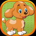 Cute Pet Care