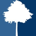 Tree Of Luck