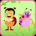 Gorgeous Lady Bug Pairs