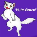 Shavie Cat! (FREE)