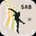 Campeonato Brasileiro Série A
