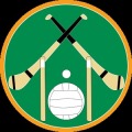 Gaelic Games Tracker