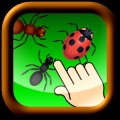 Don't bug the ladybug!