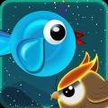 Night Bird Stella