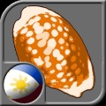 Sungka