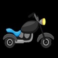 Bike Flapper
