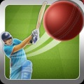 Super Cricket '14