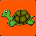 Spinning Turtle