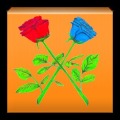 Touch the Roses
