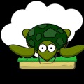Tortoise jump
