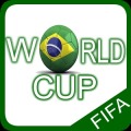 FIFA World Cup Infographic