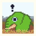 Funny Safari