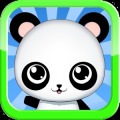 My Lovely Panda