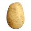 Potato