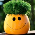 Keep Smile