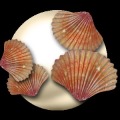Free the Pearl