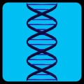 DNA Racer