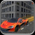Circuit Car Racing