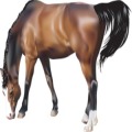 Horses True Or False Game