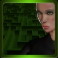 The Maze