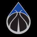 Pinnacle Hoops Development