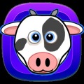 Animal Mayhem