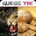 Guess The