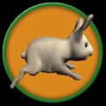 Run Rabbit Run