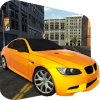 City Car Driving