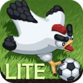Chickens Soccer World Cup Free