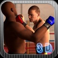 Street Fighting Boxing 3D