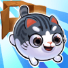 盒子里的猫2