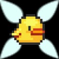 Dr. Bird