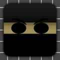 Ninja Descent
