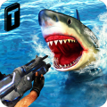 Shark Sniping 2016