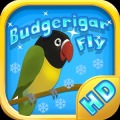 Budgerigar Fly