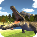 Swamp Crocodile