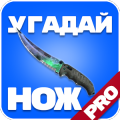 Угадай нож КС ГО PRO